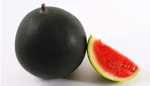 Densuke Black Watermelon