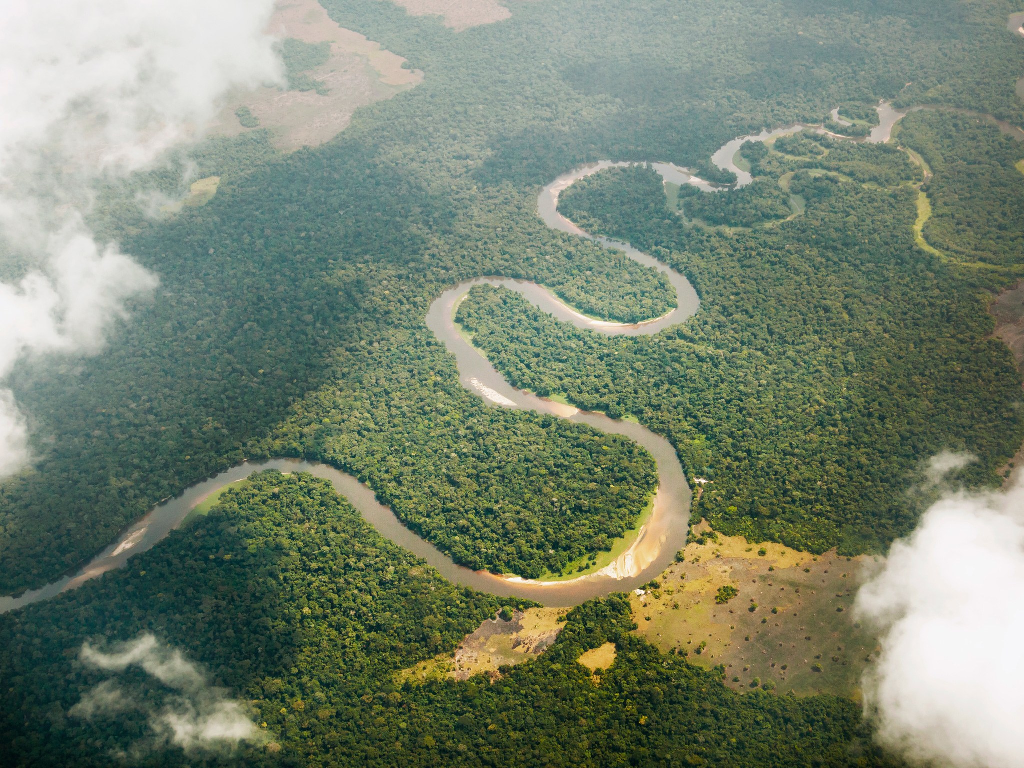 The Congo River flowing through dense tropical rainforest.