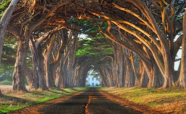 Top 7 Most Beautiful Places in California Top 7 Most Beautiful Places in California