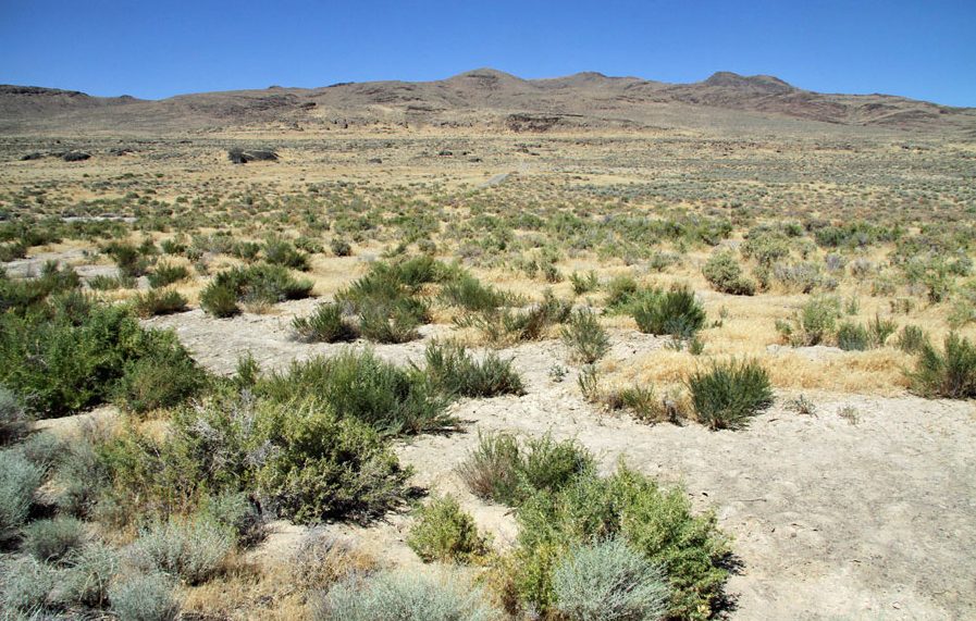 Great Basin Desert e1514304123602 Arena Pile Top 10 Largest Deserts In The World