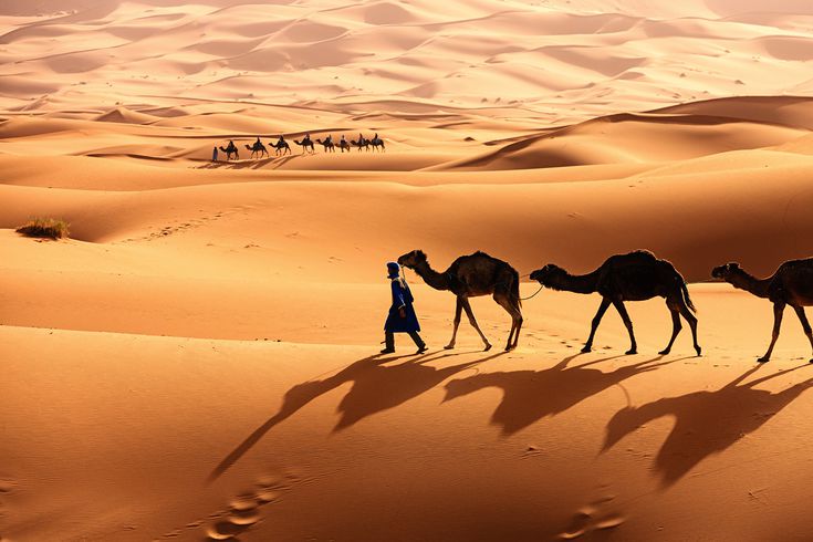 Sahara Desert Arena Pile Top 10 Largest Deserts In The World