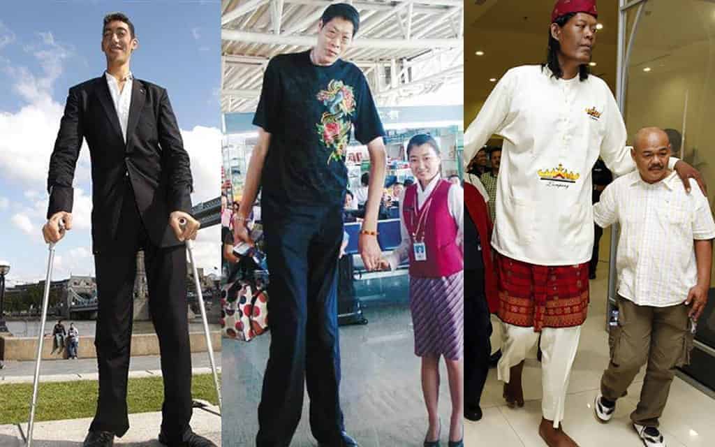 Top 10 Tallest Man In The World