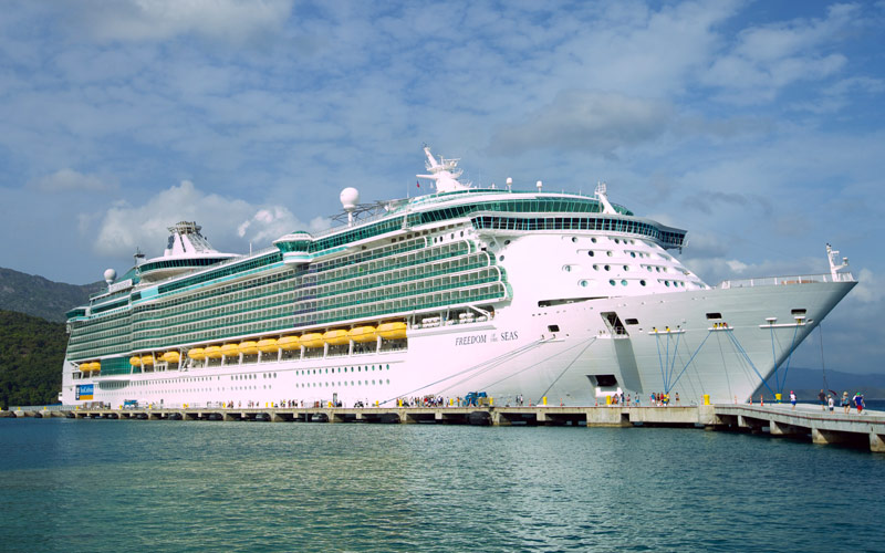 Freedom of the Seas Arena Pile Top 10 Biggest Cruise Ships Royal Caribbean In The World