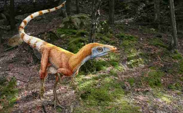 Sinosauropteryx e1512619215442 Arena Pile Top 10 Most Dangerous Dinosaurs In The World
