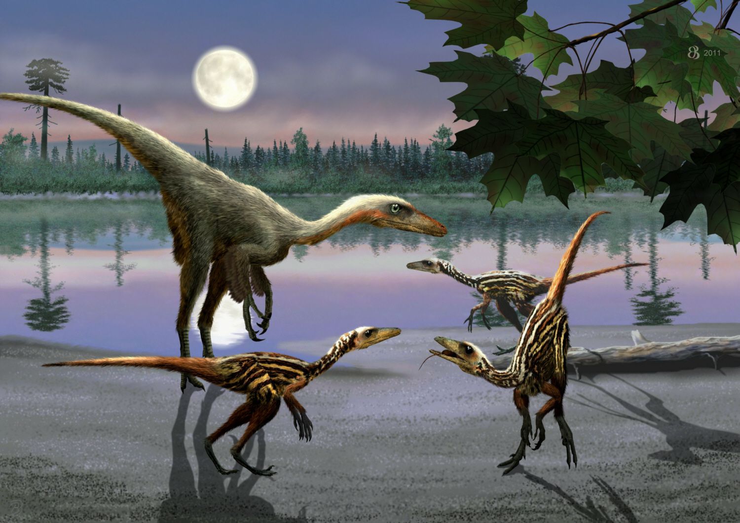 Troodon Arena Pile Top 10 Most Dangerous Dinosaurs In The World