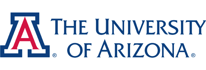 The University of Arizona Arena Pile Top 10 Best Online Colleges In The World