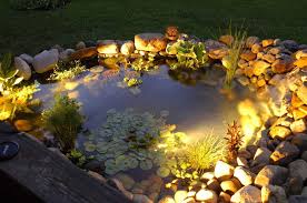 Top 7 Creative Pond Decoration Ideas lights