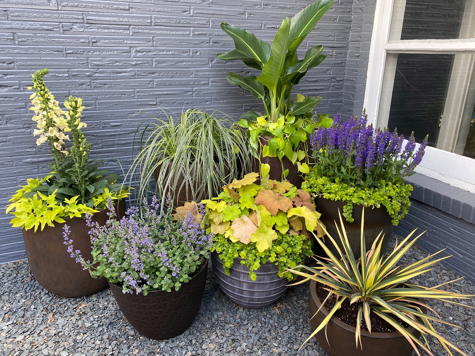 Top 9 Tips To Style Your Home With Bowl Planters