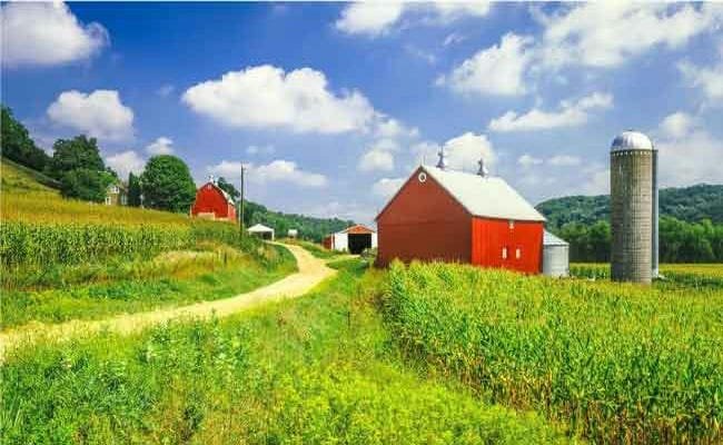 Top 5 Step Checklist How To Buy Rural Land