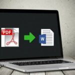 PDF Bear Guide: 3 Things to Know About PDF Bear