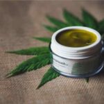 Top Best Weed Cosmetics For Daily Use