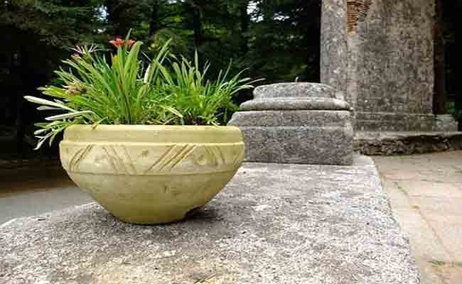 Tips To Purchase Outdoor Stone Planters For Your Back Yard