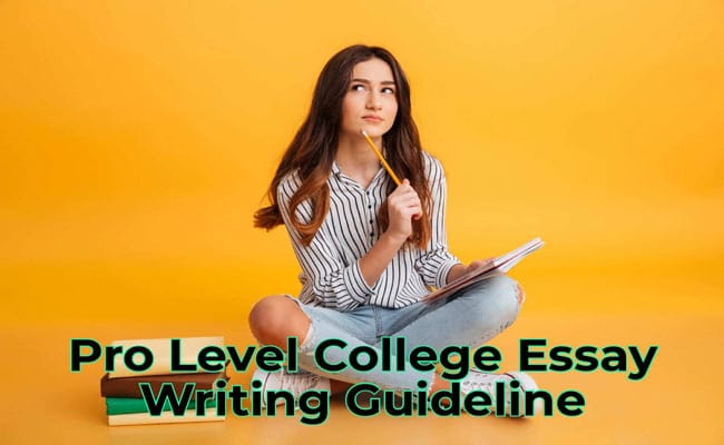 Some Pro Level College Essay Writing Guideline