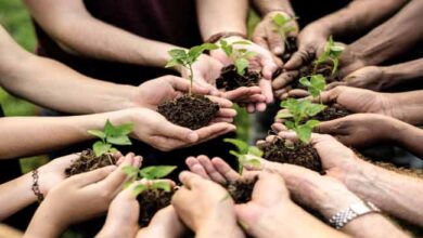 Qualities Of Environmental Organizations That Deserve Your Support