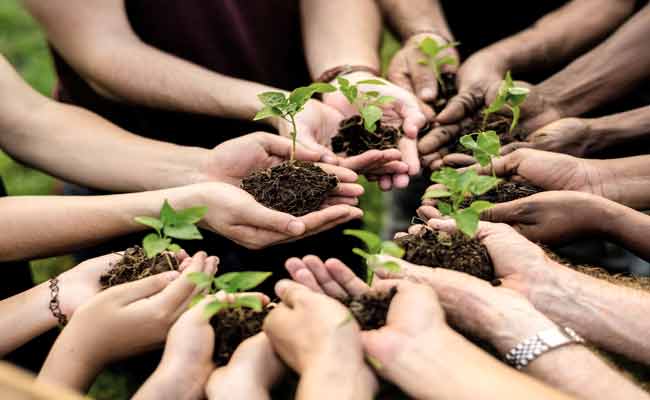 Qualities Of Environmental Organizations That Deserve Your Support