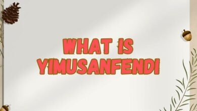 What Is YIMUSANFENDI? 2025 Best Info What Is YIMUSANFENDI?